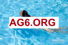 美记：篮网希望在小波特交易中获得勇士26年和28年的两个首轮签